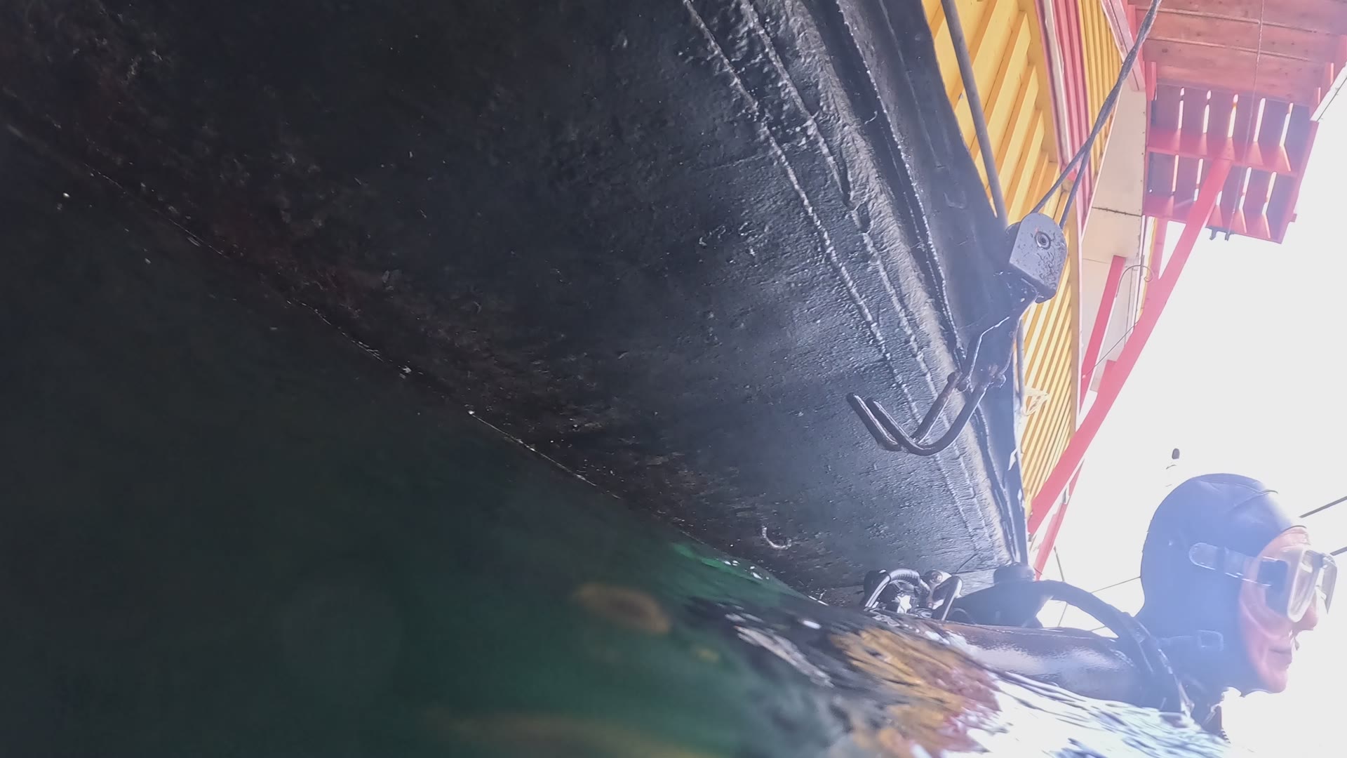 ScrubMarine diver beside a vessel hull during underwater service